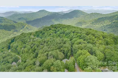 38 Bee Tree Lane, Mars Hill, NC 28754 - Photo 34