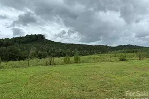 83 Acres +/- Pleasant Grove Rd, Rutherfordton, NC 28139 - Photo 1