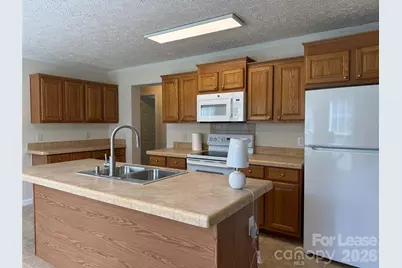 2805 Sweeping Pine Lane, Denver, NC 28037 - Photo 12