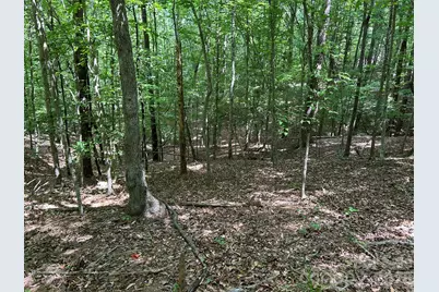 0 Wilderness Ridge #4, Rutherfordton, NC 28139 - Photo 10