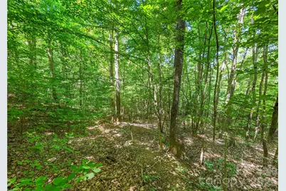 71 Timberwood Drive, Asheville, NC 28806 - Photo 4
