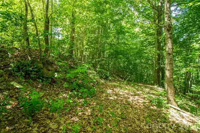 71 Timberwood Drive, Asheville, NC 28806 - Photo 2