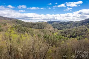 6006 Waterfalls Rd, Lenoir, NC 28645 - Photo 44