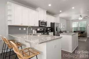 511 Old Mill Rd, Charlotte, NC 28206 - Photo 6