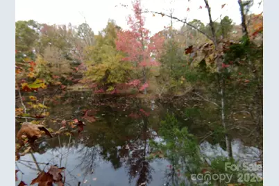 627 Bolick Road, Indian Land, SC 29707 - Photo 26