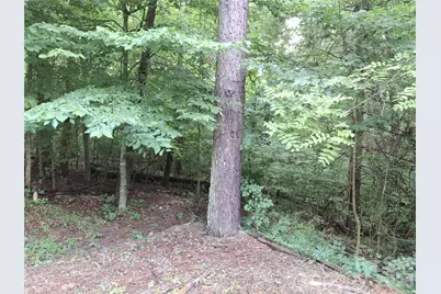 232 Tilson Drive, Mars Hill, NC 28754 - Photo 8
