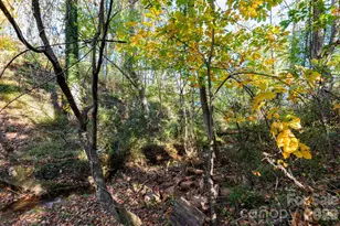 30 Waynesville Ave, Asheville, NC 28806 - Photo 8