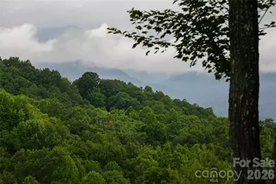 264 Tinequa Drive, Brevard, NC 28712 - Photo 2
