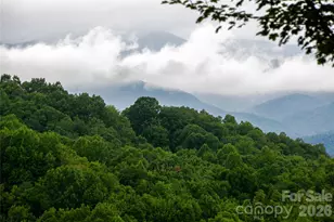 264 Tinequa Dr, Brevard, NC 28712 - Photo 1