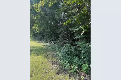 0 US 64 Highway W, Trinity, NC 27370 - Photo 2