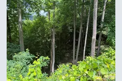 Lot 22 Spring Rock Road, Burnsville, NC 28714 - Photo 2