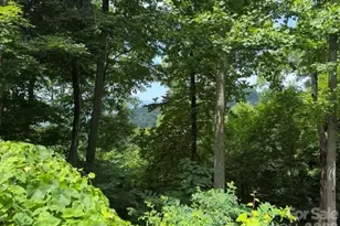 Lot 22 Spring Rock Rd, Burnsville, NC 28714 - Photo 1