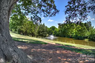 9257 Glenburn Ln, Charlotte, NC 28278 - Photo 34