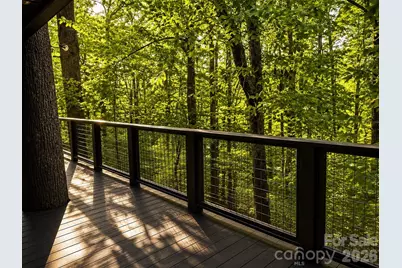 721 Bear Creek Lane, Saluda, NC 28773 - Photo 26