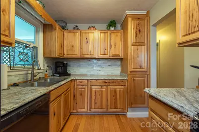 424 Lower Grassy Branch Road, Asheville, NC 28805 - Photo 10