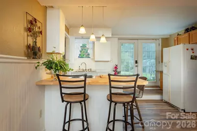 424 Lower Grassy Branch Road, Asheville, NC 28805 - Photo 20