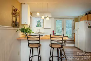 424 Lower Grassy Branch Rd, Asheville, NC 28805 - Photo 20