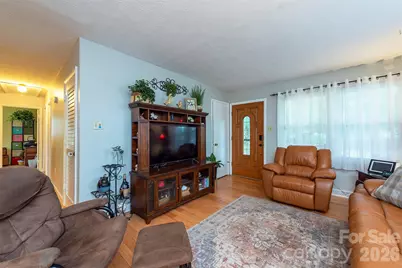 424 Lower Grassy Branch Road, Asheville, NC 28805 - Photo 4