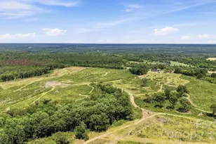 1726 Old Cheraw Hwy, Rockingham, NC 28379 - Photo 46