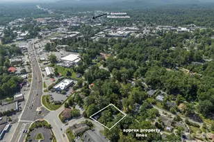 720 Sylvan Blvd, Hendersonville, NC 28791 - Photo 46
