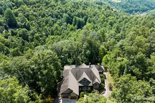 600 White Water Way, Marshall, NC 28753 - Photo 48