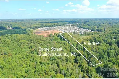 8774 Bame Road, Colfax, NC 27235 - Photo 2