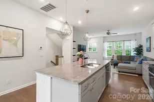 9320 Ainslie Downs St, Charlotte, NC 28273 - Photo 6