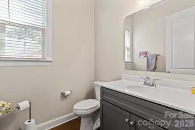 4008 Pinot Way, Fort Mill, SC 29707 - Photo 34