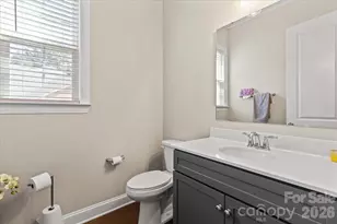 4008 Pinot Way, Fort Mill, SC 29707 - Photo 34