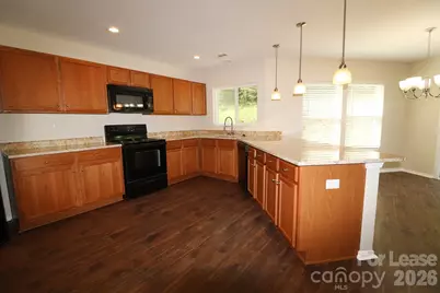 13011 Lake Erie Lane, Charlotte, NC 28273 - Photo 12