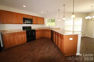 13011 Lake Erie Ln, Charlotte, NC 28273 - Photo 12