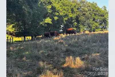 328 Sandy Run Church Road, Mooresboro, NC 28114 - Photo 26