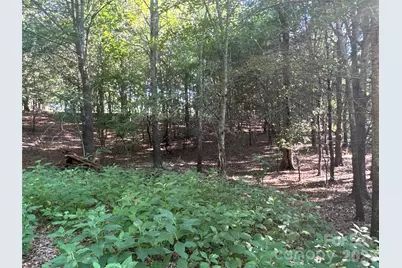 328 Sandy Run Church Road, Mooresboro, NC 28114 - Photo 40