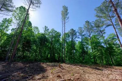 0 Carson Road #6, Cleveland, NC 27013 - Photo 6
