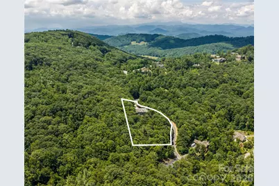 413 Barrington Drive, Asheville, NC 28803 - Photo 48