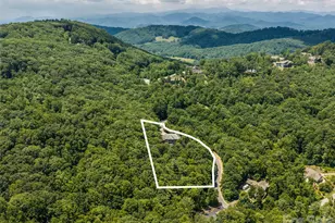 413 Barrington Dr, Asheville, NC 28803 - Photo 48
