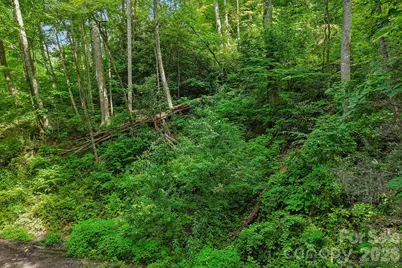 Tbd Indian Falls Road, Asheville, NC 28803 - Photo 2