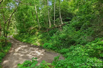 Tbd Indian Falls Road, Asheville, NC 28803 - Photo 4