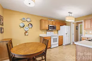 171 Running Briar Rd, Fletcher, NC 28732 - Photo 14
