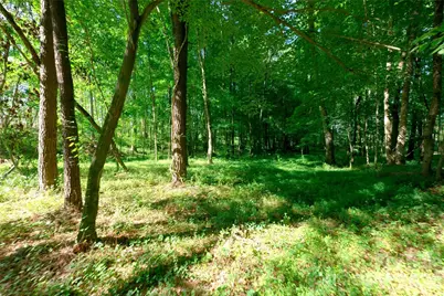 0 Carson Road #5, Cleveland, NC 27013 - Photo 4