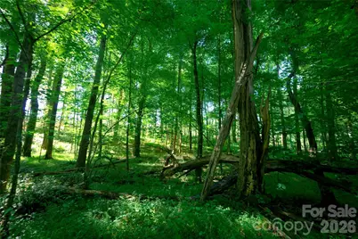 0 Carson Road #5, Cleveland, NC 27013 - Photo 2