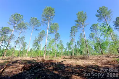 0 Carson Road #5, Cleveland, NC 27013 - Photo 6