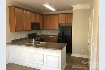 115 Plantation Ridge Drive #202, Mooresville, NC 28117 - Photo 2