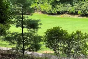 222 Sedi Ln, Brevard, NC 28712 - Photo 2