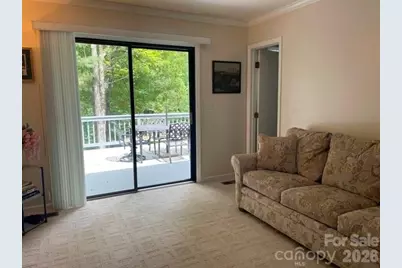 222 Sedi Lane, Brevard, NC 28712 - Photo 26