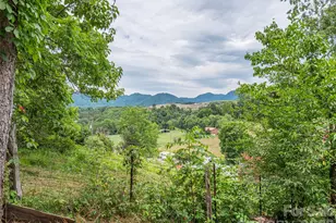 5249 Old Clyde Rd, Clyde, NC 28721 - Photo 30