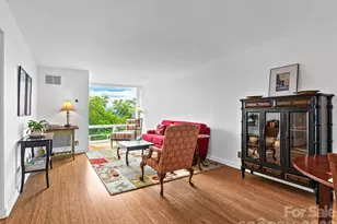647 Town Mountain Rd, Asheville, NC 28804 - Photo 6