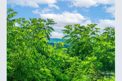 647 Town Mountain Road #309, Asheville, NC 28804 - Photo 10
