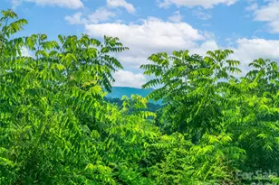 647 Town Mountain Rd, Asheville, NC 28804 - Photo 10