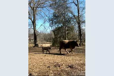 3448 Center Road, Chester, SC 29706 - Photo 36